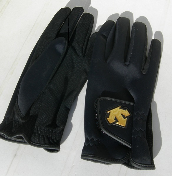Descente Winter Glove
