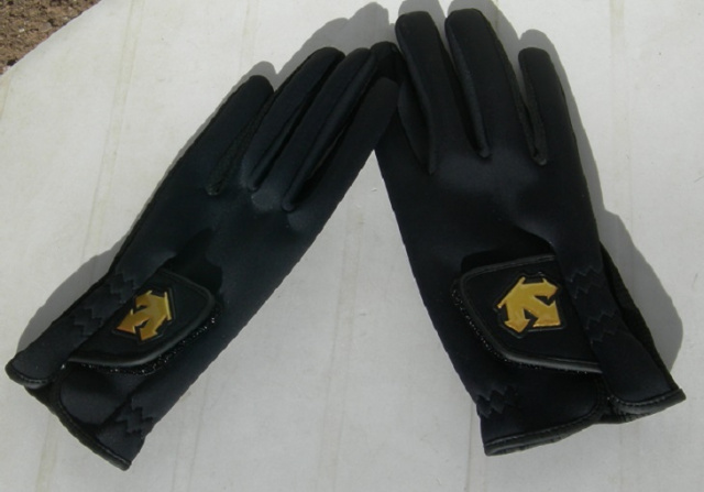 Descente Winter Glove